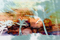 Palm City - Orange and Yellow Palm Tree Beach Art.