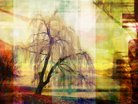 Sleepy Hollow - Abstract Landscape Tree Art. Yellow Photo Art.